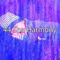 44 Spa Harmony