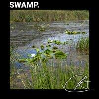 Best Nature Swamp Sounds