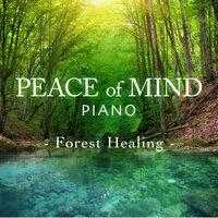 Peace of Mind Piano - Forest Healing