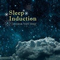 Sleep Induction - Sleepless Night Magic