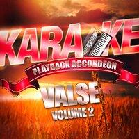 Karaoké Playback Accordéon : Valse, Vol. 2