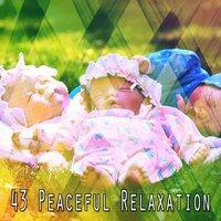43 Peaceful Relaxation