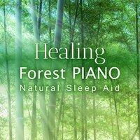 Healing Forest Piano ~ Natural Sleep Aid