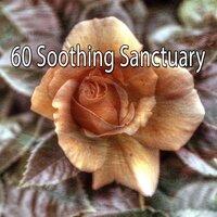 60 Soothing Sanctuary