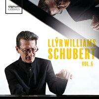 Llŷr Williams: Schubert, Vol. 6