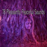 78 Pleasantly Peaceful Sounds