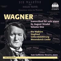 Wagner transcribed for solo piano by August Stradal, Vol. 1