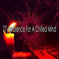 77 Ambience for a Chilled Mind