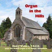 Wallace, Henry: Organ in the Hills