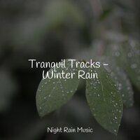 Tranquil Tracks - Winter Rain