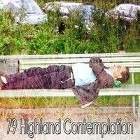 79 Highland Contemplation