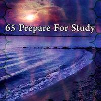 65 Prepare for Study