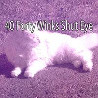 40 Forty Winks Shut Eye