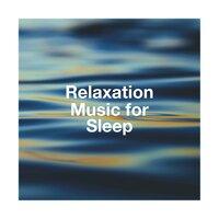 Relaxation Music for Sleep
