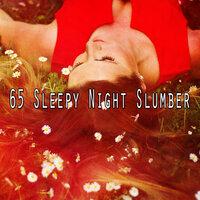 65 Sleepy Night Slumber