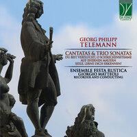 Georg Philipp Telemann: Cantatas & Trio Sonatas
