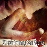 29 Brain Training Rain Sounds