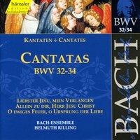 Bach, J.S.: Cantatas, Bwv 32-34