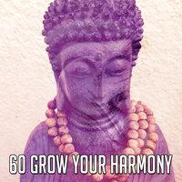 60 Grow Your Harmony