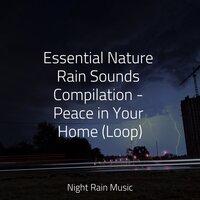 Essential Nature Rain Sounds Compilation - Peace in Your Home (Loop)
