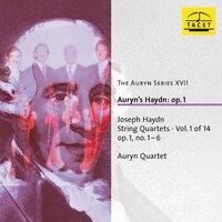 The Auryn Series, Vol. 17