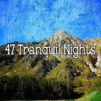 47 Tranquil Nights