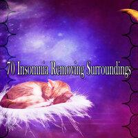 70 Insomnia Removing Surroundings