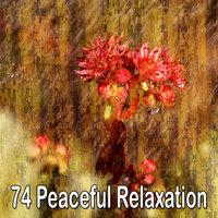 74 Peaceful Relaxation