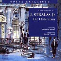 Opera Explained: STRAUSS - Die Fledermaus (Smillie)
