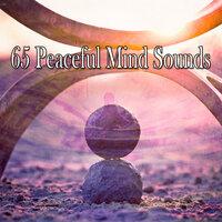 65 Peaceful Mind Sounds