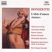 Donizetti: Elisir D'Amore (L')