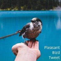 Pleasant Bird Tweet