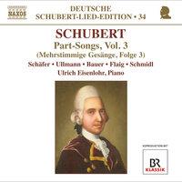 Schubert: Lied Edition 34 - Part Songs, Vol. 3