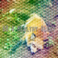 60 A Healthy Sle - EP