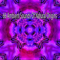 66 Ambient Sounds of Natural Origins