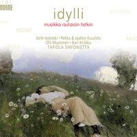 Orchestral Music - Bach, J.S. / Mozart, W.A. / Beethoven, L. Van / Sibelius, J. / Raitio, V. (Idyll - Music for Daydreaming)