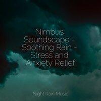 Nimbus Soundscape - Soothing Rain - Stress and Anxiety Relief