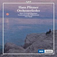 Pfitzner: Orchestral Songs