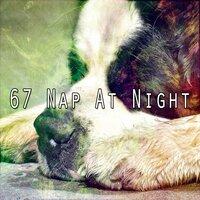 67 Nap at Night