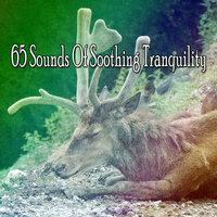 65 Sounds of Soothing Tranquility