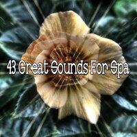 43 Great Sounds for Spa