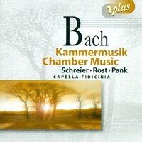 Bach, J.S.: Chamber Music