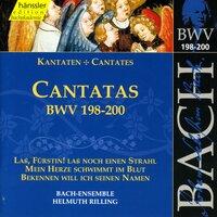 Bach, J.S.: Cantatas, Bwv 198-200