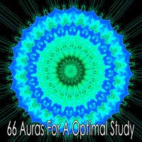 66 Auras for a Optimal Study