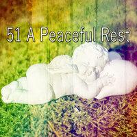 51 A Peaceful Rest