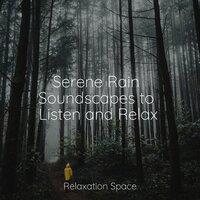 Serene Rain Soundscapes to Listen and Relax