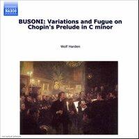 Busoni: Piano Music, Vol.  2