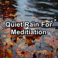 Quiet Rain For Meditiation