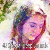 42 Special Sleep Sounds