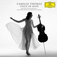 Say: Concerto For Cello And Orchestra "Never Give Up", Op. 73: 2. Terror - Elegy